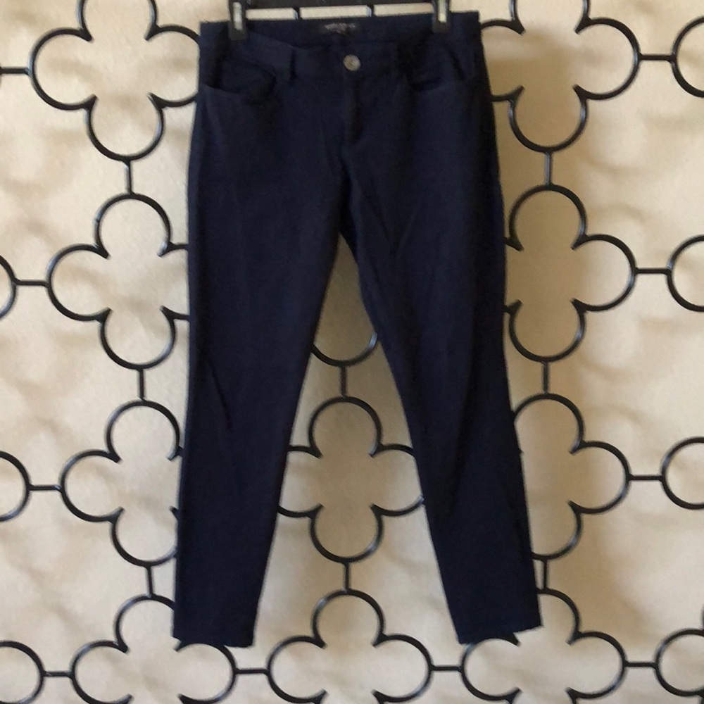 Banana Republic Navy Sloan Pants Size 4